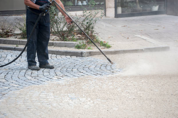 Best Parking Lot Cleaning in Chenango Bridge, NY
