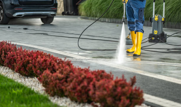 Best Building Exterior Pressure Washing in Chenango Bridge, NY